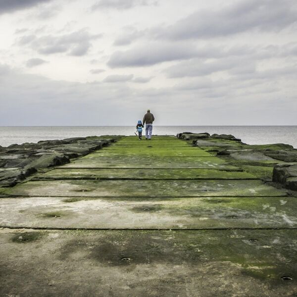 Cover art for I Will Follow